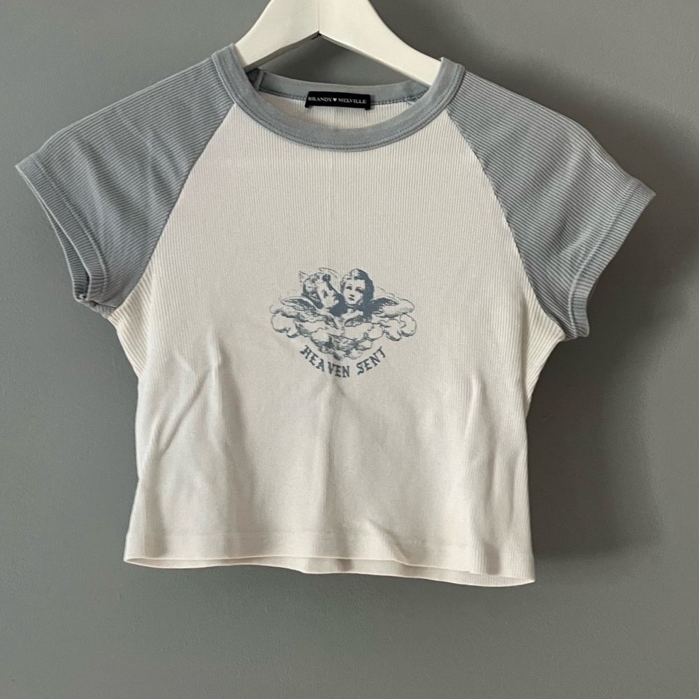 Brandy Melville Crop Top